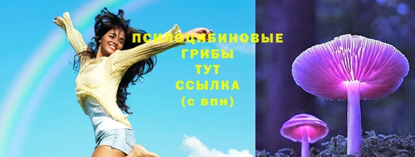бошки Гусь-Хрустальный